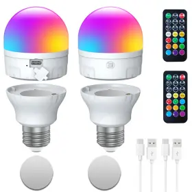 C60A ABZXT Auto Charge Light Bulb Battery Backup Remote Timer