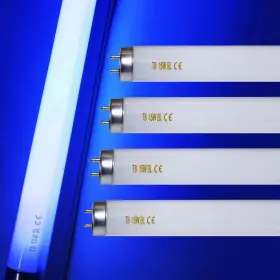 768432628499 AMGOLIBI Light Bulb