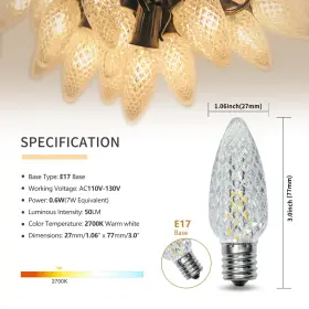 448065917481 AUSTIN COAST Christmas Lights Led Bulbs Pl #2