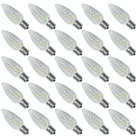 448065917481 AUSTIN COAST Christmas Lights Led Bulbs Pl
