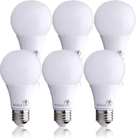 682440827371 BIOLUZ LED Light Bulb Pack