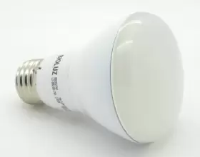 713757419017 BIOLUZ LED Bulb Lum #3