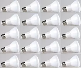 713757419017 BIOLUZ LED Bulb Lum
