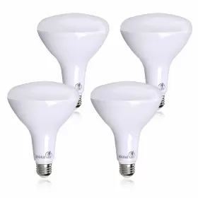 850019813609 BIOLUZ LED Pack Brightest Bulbs Cri