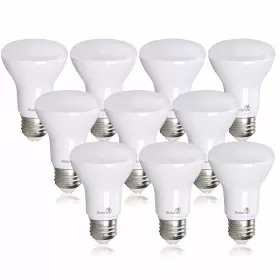 850019813616 BIOLUZ LED Pack Bulb Replacemen