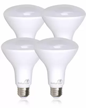 850019813630 BIOLUZ LED Pack Cri Dimmable Bulb