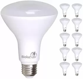 850019813661 BIOLUZ LED Pack Cri Dimmable Bulb