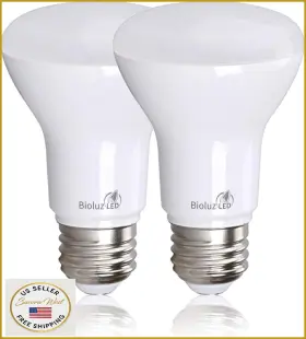 B0DPGP9NG4 BIOLUZ LED Dimmable Flood Light Bulbs High Cri