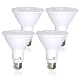 BP38-3K1200-4 BIOLUZ LED Pack Light Bulb Cri