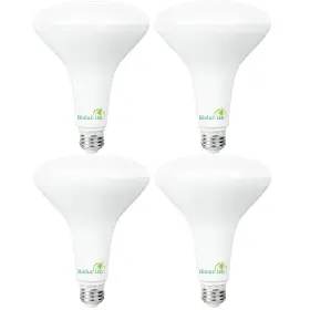 BR40-271000-90-4 BIOLUZ LED Pack Light Bulb Cri Dimmabl