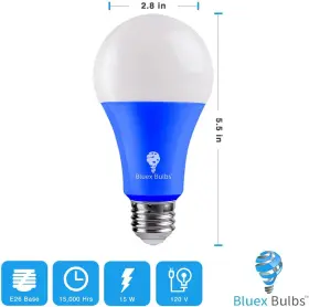 313033838886 BLUEX BULBS Pack Led Light Base #2
