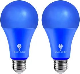313033838886 BLUEX BULBS Pack Led Light Base