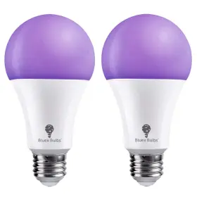 RND4806 BLUEX BULBS Light Bulb Eqv Glow Pack
