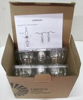 202509 BRIGHTON Edison Led Bulb Base