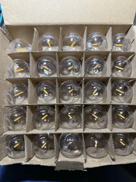 BULB-25LED BRIGHTOWN Pack Led Globe Light Bulbs Shatterproof