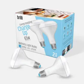 81973498 BRILLI Charge Up Energy Boosting Dimmable Led Flood