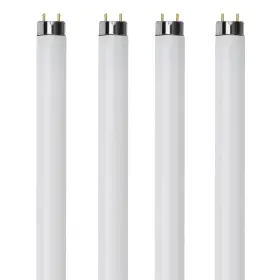 720665767048 BULBMASTER Fluorescent Tube Light Bulbs