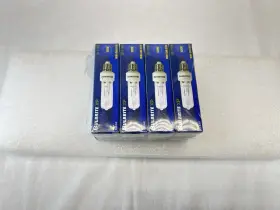 610101 BULBRITE Bulb Mini