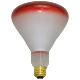 150R40-R BULBSANDBATTERIES Light Bulb Lamp
