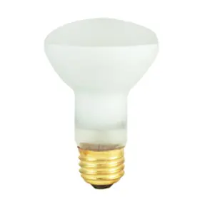 2PGY1 BULBSANDBATTERIES Bulb Lumapro
