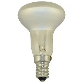 40R50-E14-230V BULBSANDBATTERIES Light Bulb Lamp