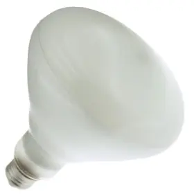 65BR40-FL BULBSANDBATTERIES Light Bulb Lamp