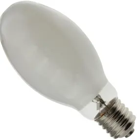 69445 BULBSANDBATTERIES Bulbs
