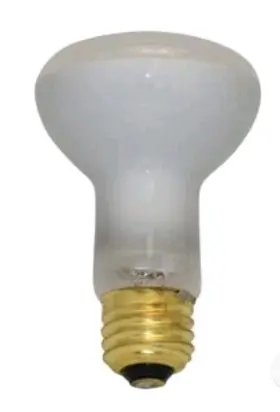 79108100 BULBSANDBATTERIES Bulb Pentair Box