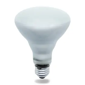 BR30FL65-P5 BULBSANDBATTERIES Bulb Halco