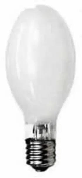 HSB250 BULBSANDBATTERIES Eiko