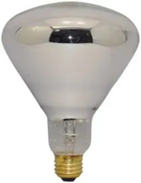 LP-35721 BULBSANDBATTERIES Bulb Alto Shaam