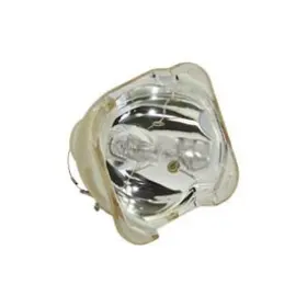 VPL-AW10 BULBSANDBATTERIES Projector Tv Lamp Sony