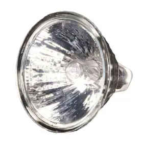 CBAB60C CAST LIGHTING Glass Bulb