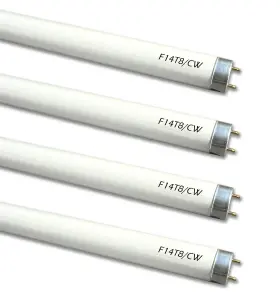 T8TYPE CEMLOROT Pack Cw Fluorescent Light Bulb Watts Linear