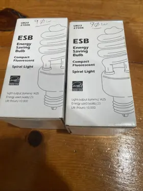 UB14 CONSUMER RESOLUTION Energy Bulb Fluorescent Std Base