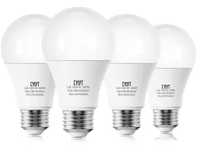 653555022616 CYLYT Bright Led Light Bulbs Lightb