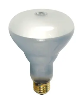 65BR30-FL-130V DAMAR Alt Philips Feit Flood