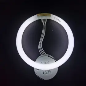 779605432027 DAMEIOL Bulb Light Floxite Zadro Rialto Makeup #2