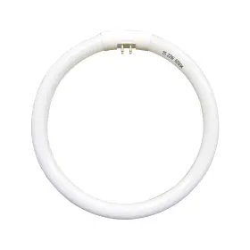 779605432027 DAMEIOL Bulb Light Floxite Zadro Rialto Makeup