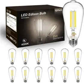 AUS-D1 DAYBETTER Pack Led Edison Bulb Dimmabl