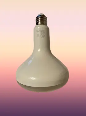 BR401D12WE26120 LED Light Bulb Dimmable