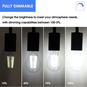 822985541398 E-ENERGETIC LIGHTING Dimmable Led Edison Light #3