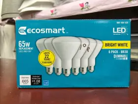 1001654525 ECO-SMART Dimmable Led Light Bulb Bright