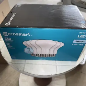 1006248287 ECO-SMART Dimmable Led Light Bulb