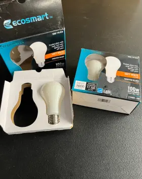 1006778629 ECO-SMART Led Light Bulb Frosted Glass
