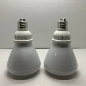 2R3016 ECO-SMART Loose Flood Lights