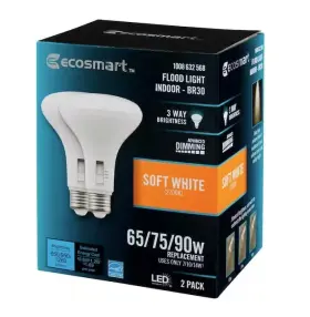 FG-04309 ECO-SMART Flood Energy Star Light