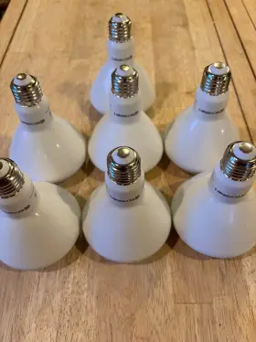 1003030603 ECOSMART Led Dimmable Bulbs