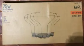 1005957268 ECOSMART Dimmable Led Light Bulb Pack