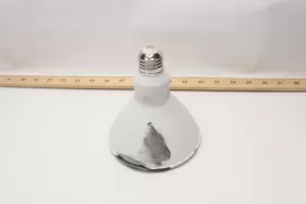 1006305843 ECOSMART Dimmable Led Floodlight Bulb Selectable
